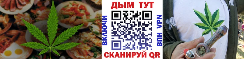Купить  Новозыбков  Cannafood конопля 