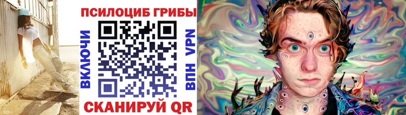 Псилоцибиновые грибы Psilocybe Купить где Новозыбков